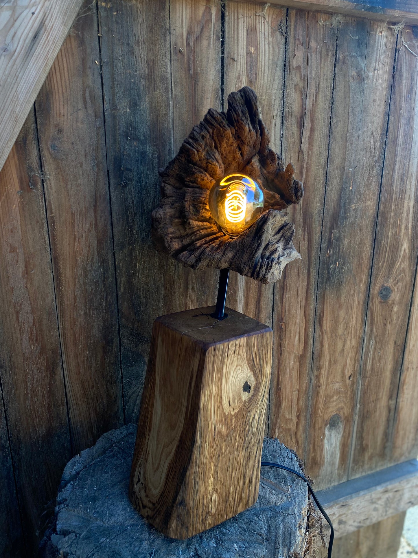 Lampa Roots Fossil