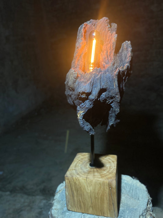 Lampa Roots Ork