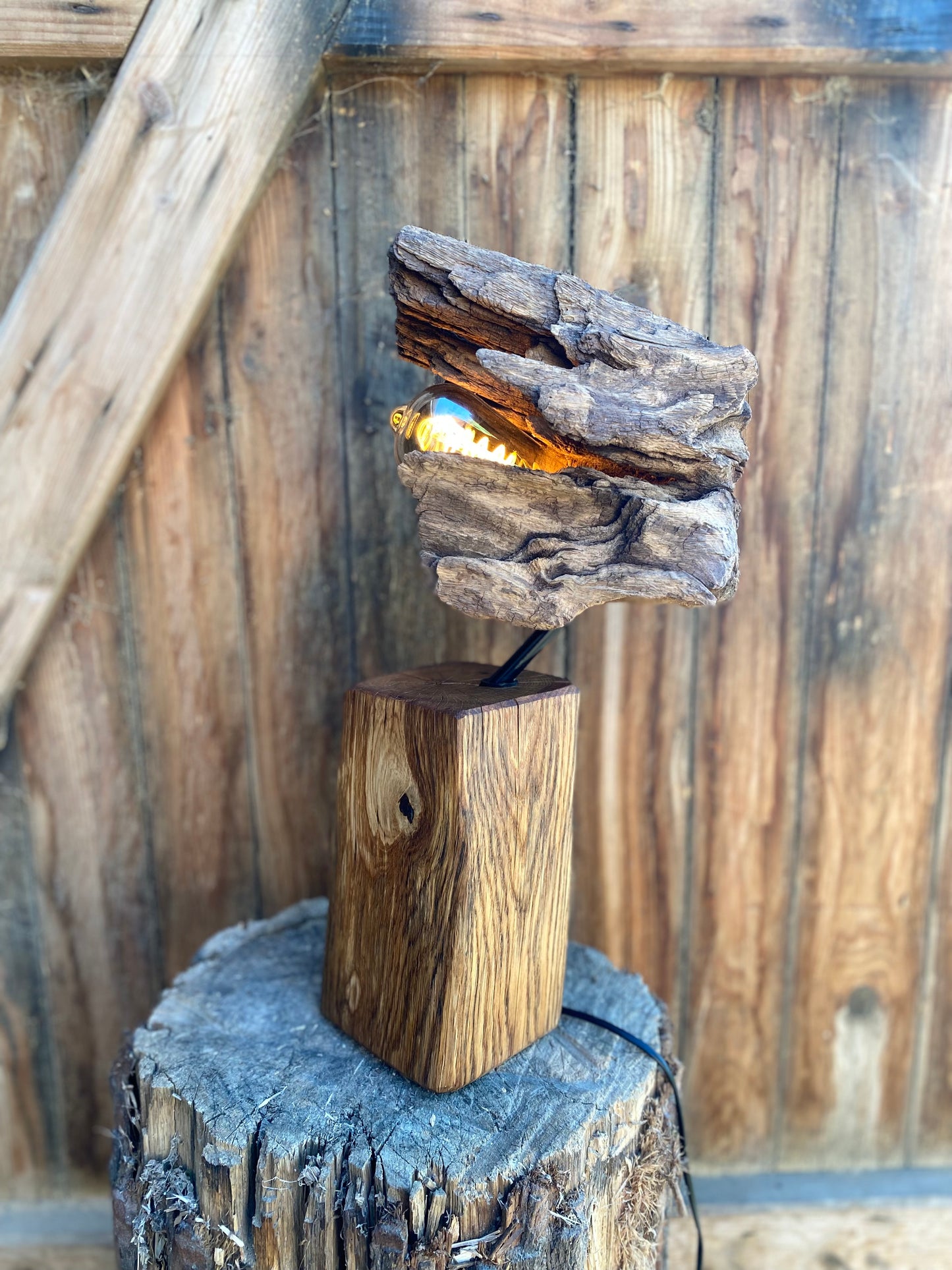 Lampa Roots Fossil
