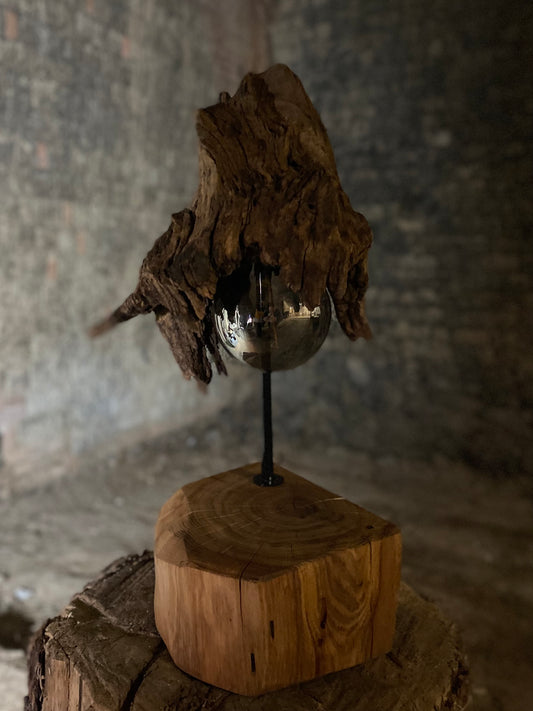 Lampa Roots Chanterelle